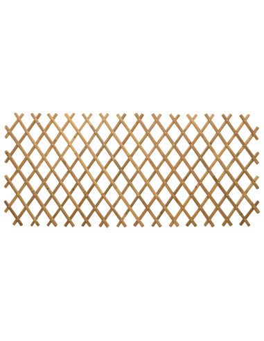 Recinto Trellis Espandibile 2 pcs Marrone Chiaro 100 x 105 cm