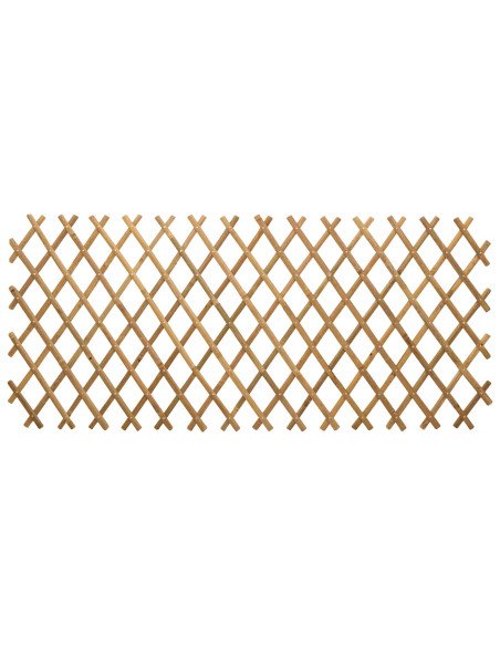 Recinto Trellis Espandibile 2 pcs Marrone Chiaro 100 x 105 cm
