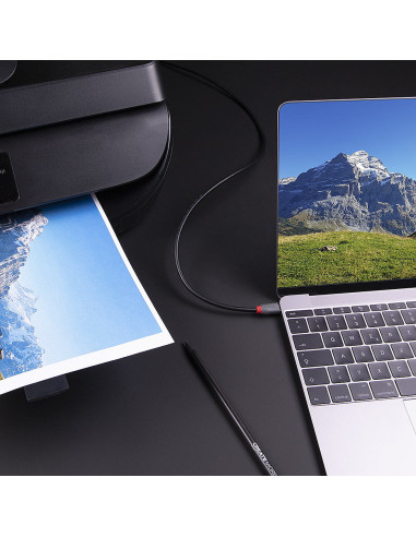 Lindy 36668 cavo USB USB 3.2 Gen 1 (3.1 Gen 1) 3 m USB C USB B Nero