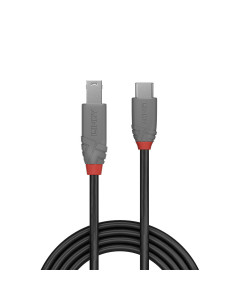 Lindy 36667 cavo USB USB 3.2 Gen 1 (3.1 Gen 1) 2 m USB C USB B Nero 2