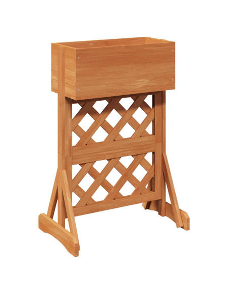 Trellis da Giardino Verticale Arancione 48 x 30 x 70,5 cm
