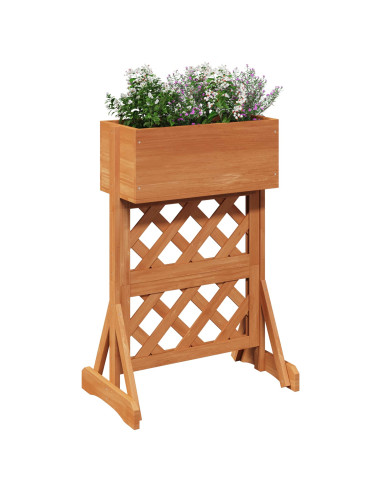 Trellis da Giardino Verticale Arancione 48 x 30 x 70,5 cm