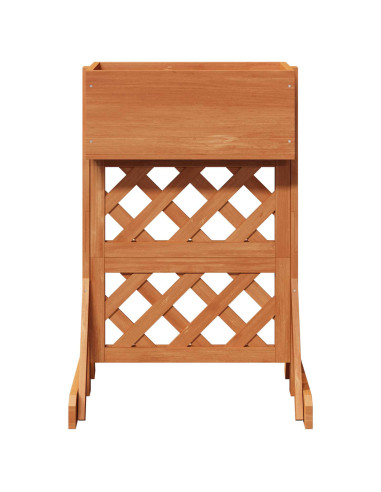 Trellis da Giardino Verticale Arancione 48 x 30 x 70,5 cm