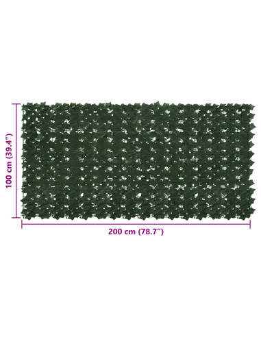 Schermo per balcone con foglie Verde Scuro 200 x 100 cm