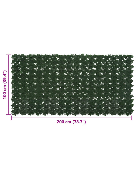 Schermo per balcone con foglie Verde Scuro 200 x 100 cm