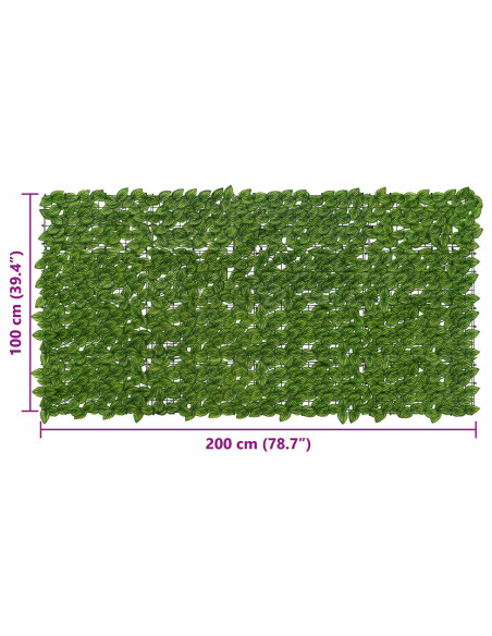 Schermo per balcone con foglie Verde e Giallo 200 x 100 cm