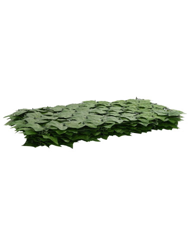 Schermo per balcone con foglie Verde 300 x 75 cm