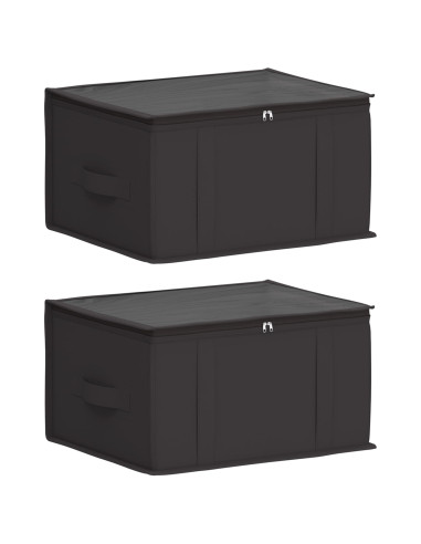 Scatola di stoccaggio con finestra trasparente in alto 2 pcs
