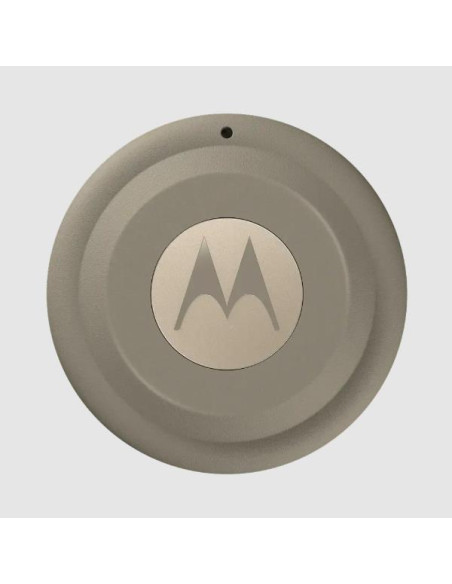 MOTO TAG 2 LAUREAL OAK