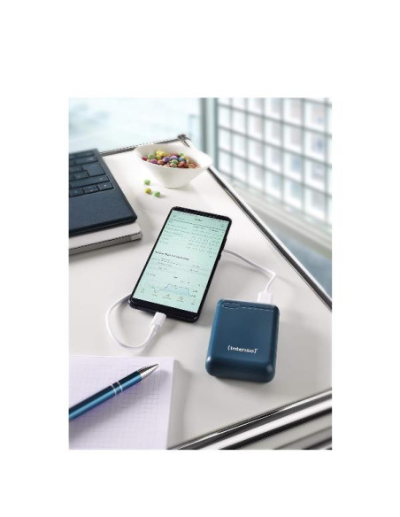 POWER BANK F10000 MAH PETROL