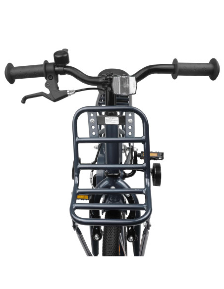 Bicicletta per Bambini 16 Pollici per bambini di 4-6 anni