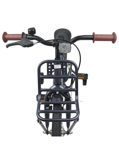 Bicicletta per Bambini 16 Pollici per bambini di 4-6 anni