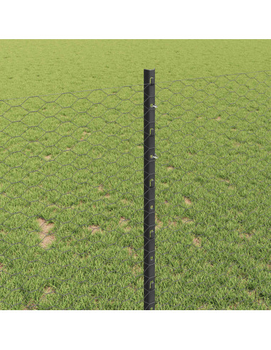 Recinzione con Posto Grigio 1 x 10 m Acciaio e PVC