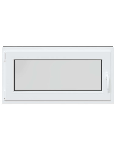 Finestra per Soffitta RISOR Antracite 100 x 50 cm PVC e Vetro