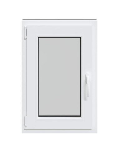 Finestra per Soffitta RISOR Antracite 50 x 75 cm PVC e Vetro