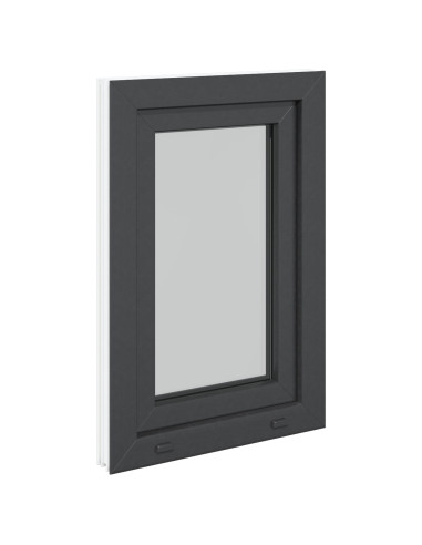 Finestra per Soffitta RISOR Antracite 50 x 75 cm PVC e Vetro