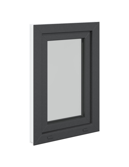 Finestra per Soffitta RISOR Antracite 50 x 75 cm PVC e Vetro