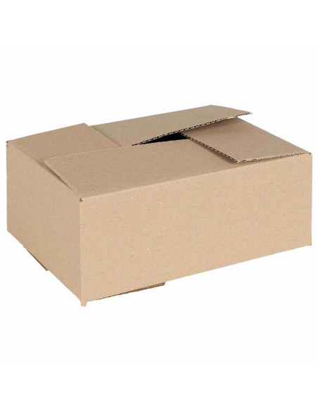 Scatola Pieghevole 50 pcs Naturale 25 x 17,5 x 10 cm Cartone