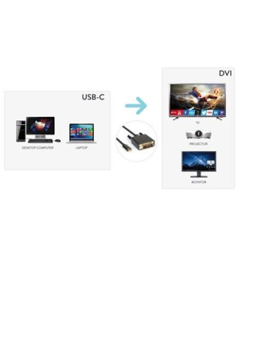 CAVO USB TIPO C TO DVI M 4K 2K