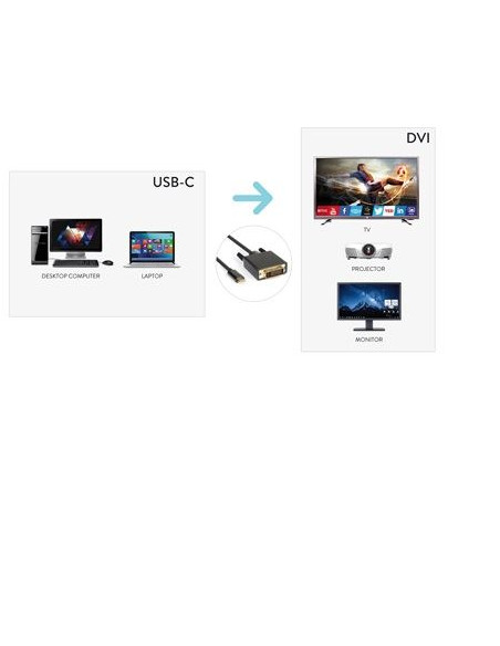 CAVO USB TIPO C TO DVI M 4K 2K