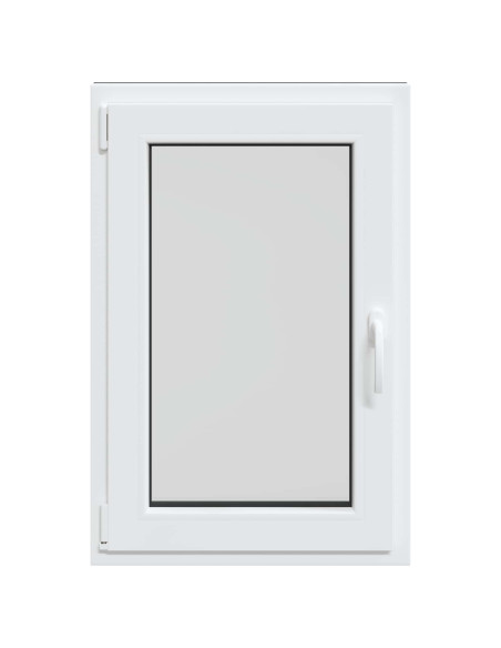 Finestra per Soffitta RISOR Antracite 60 x 100 cm PVC e Vetro