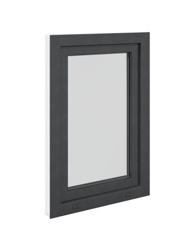 Finestra per Soffitta RISOR Antracite 60 x 100 cm PVC e Vetro