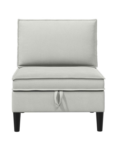 Divano Medio con Storage Grigio chiaro Velluto