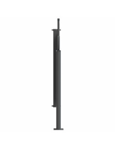 Tenda laterale retrattile Nero 300 x 100 cm Poliestere 2