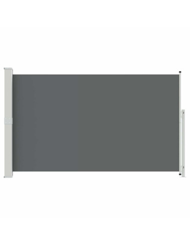 Tenda laterale retrattile Antracite 300 x 180 cm Poliestere
