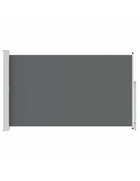 Tenda laterale retrattile Antracite 300 x 180 cm Poliestere