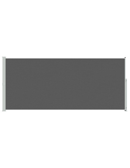 Tenda laterale retrattile Antracite 300 x 220 cm Poliestere
