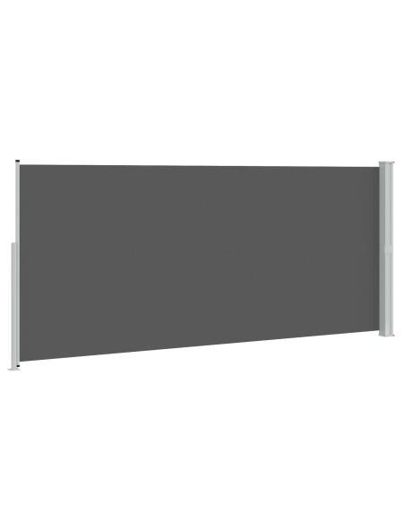 Tenda laterale retrattile Antracite 300 x 220 cm Poliestere