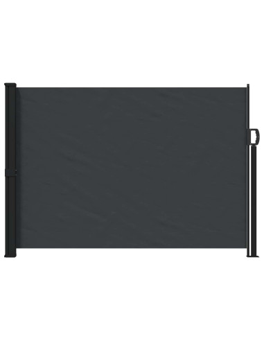 Tenda laterale retrattile Nero 300 x 170 cm Poliestere