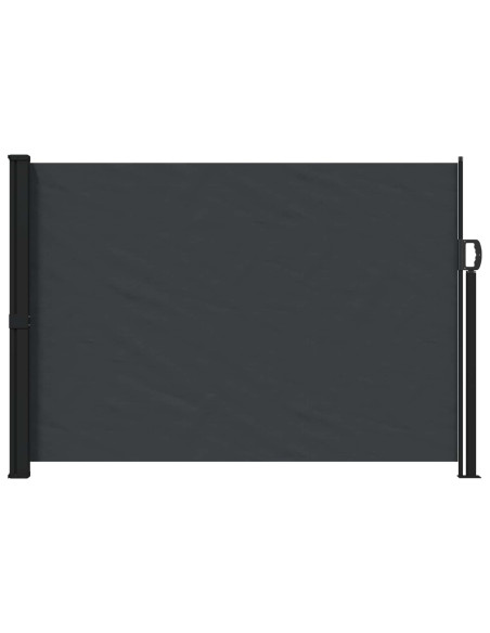 Tenda laterale retrattile Nero 300 x 170 cm Poliestere