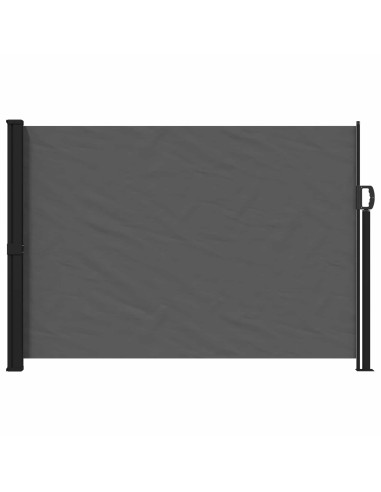 Tenda laterale retrattile Antracite 300 x 170 cm Poliestere