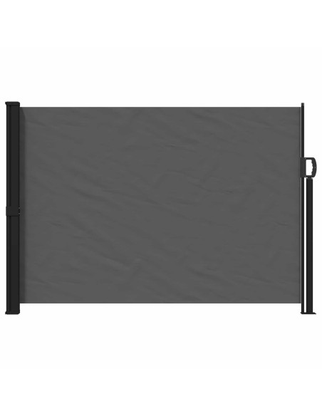 Tenda laterale retrattile Antracite 300 x 170 cm Poliestere