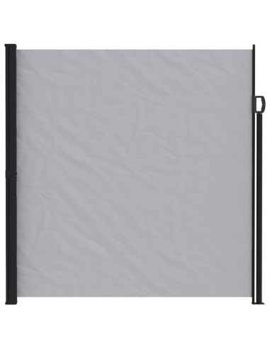 Tenda laterale retrattile Grigio 300 x 200 cm Poliestere