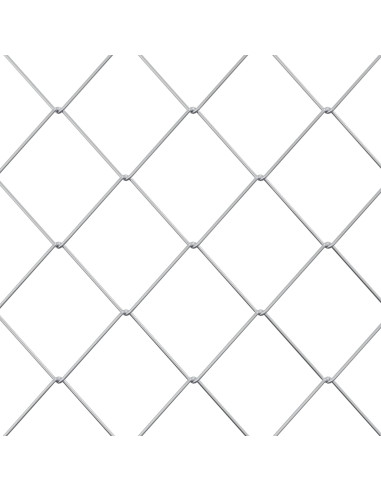 Recinzione a rete metallica Galvanizzato 2 x 10 m Vetro