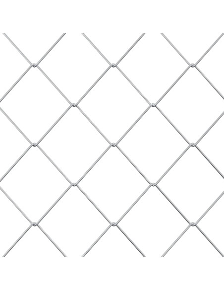 Recinzione a rete metallica Galvanizzato 2 x 10 m Vetro