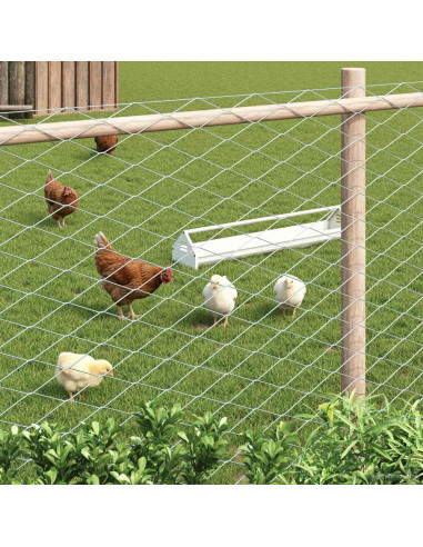 Recinzione a rete metallica Galvanizzato 2 x 20 m Vetro