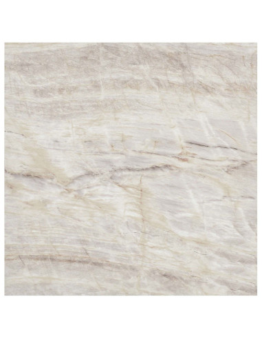 Plance per Pavimentazione Autoadesiva 30,5 x 30,5 cm 20 pcs PVC