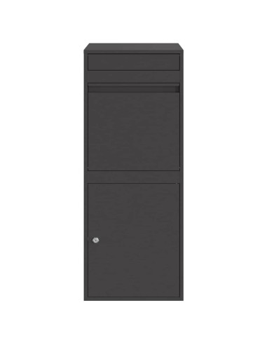 Cassetta per pacchi con porta Nero 41 x 38 x 103 cm Acciaio