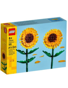 GIRASOLI