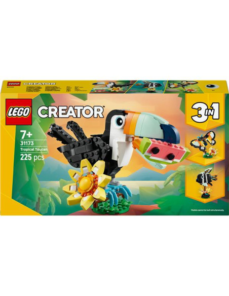 ANIMALI SELVATICI TUCANO TROPICALE