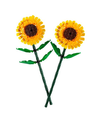GIRASOLI