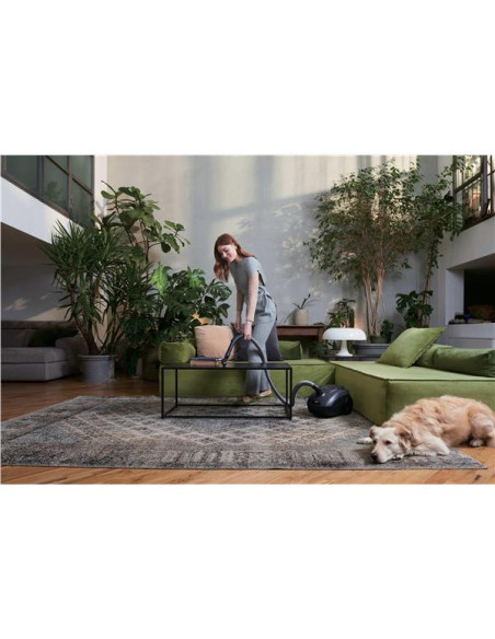 HOOVER TRAINO HE120PET 011