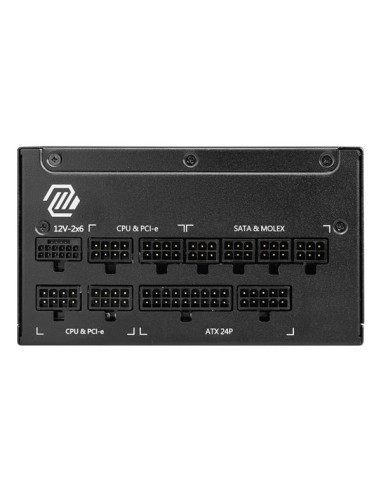 MAG A1000GL PCIE5