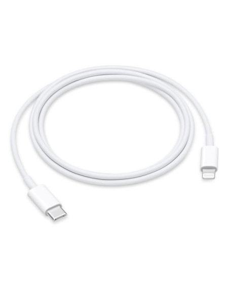 USB-C TO LIGHTNING CABLE (1 M)
