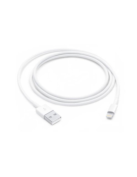 LIGHTNING TO USB CABLE (1 M)