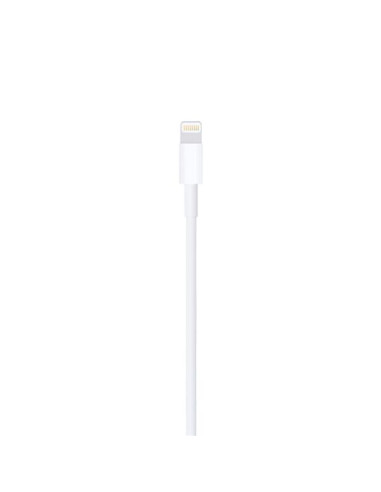 LIGHTNING TO USB CABLE (1 M)